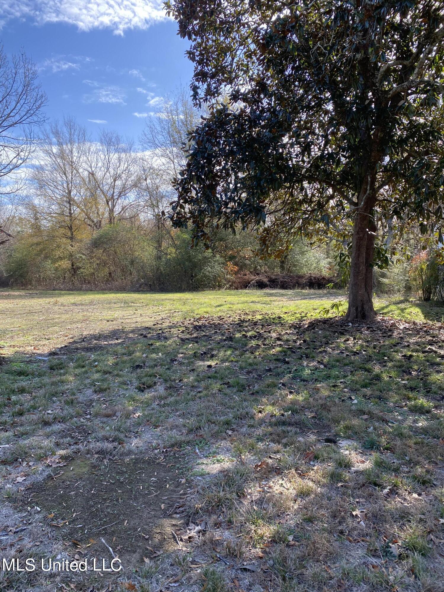 0 Smith Carr Road Property Photo 2