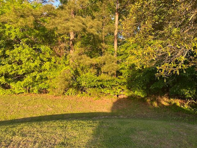 001 Mcdonald Lane Property Photo 1