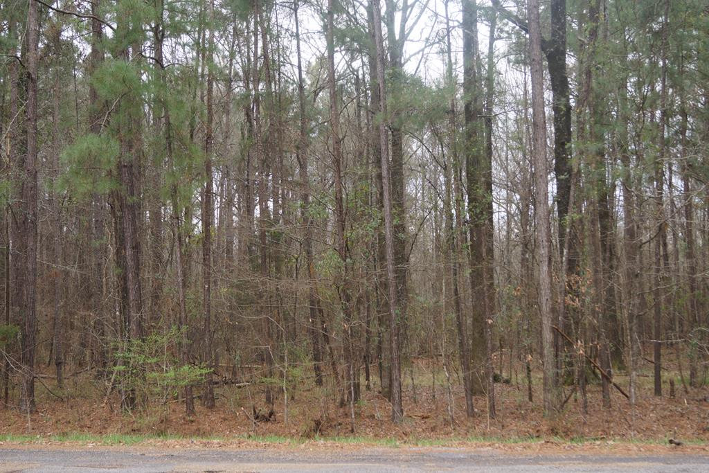 1075 Pine Cove Drive Property Photo 1