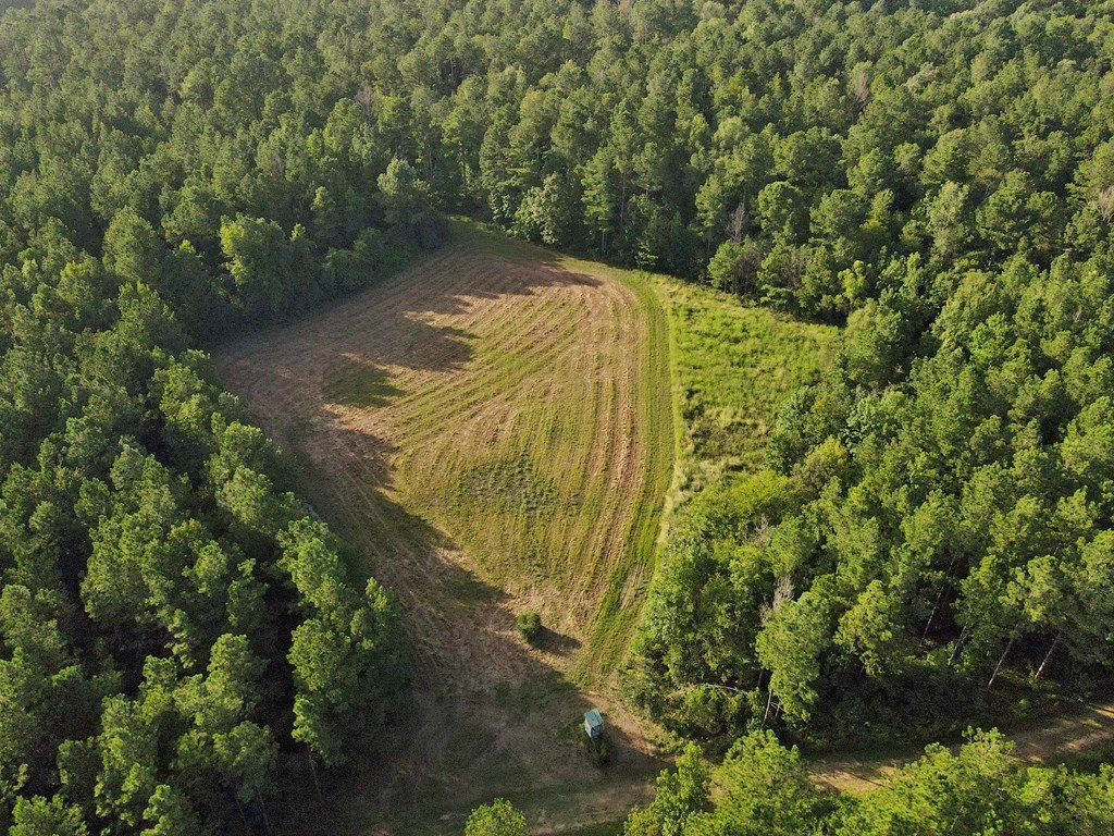 1222 Boyd Road Property Photo 33