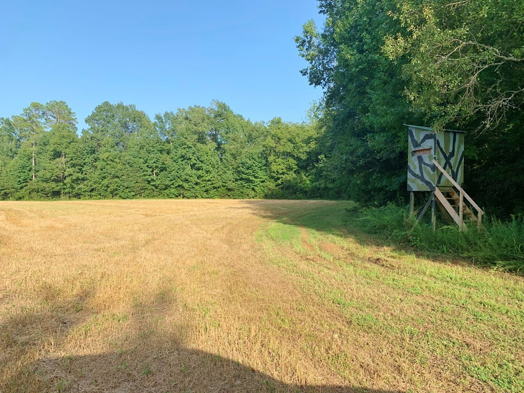 1222 Boyd Road Property Photo 34