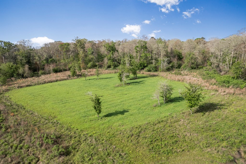 0 Red Bluff Church Road Property Photo 3