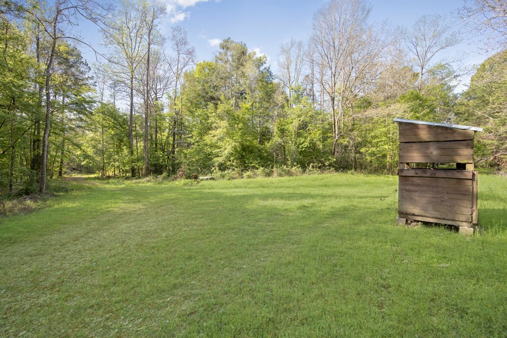 0 Red Bluff Church Road Property Photo 6
