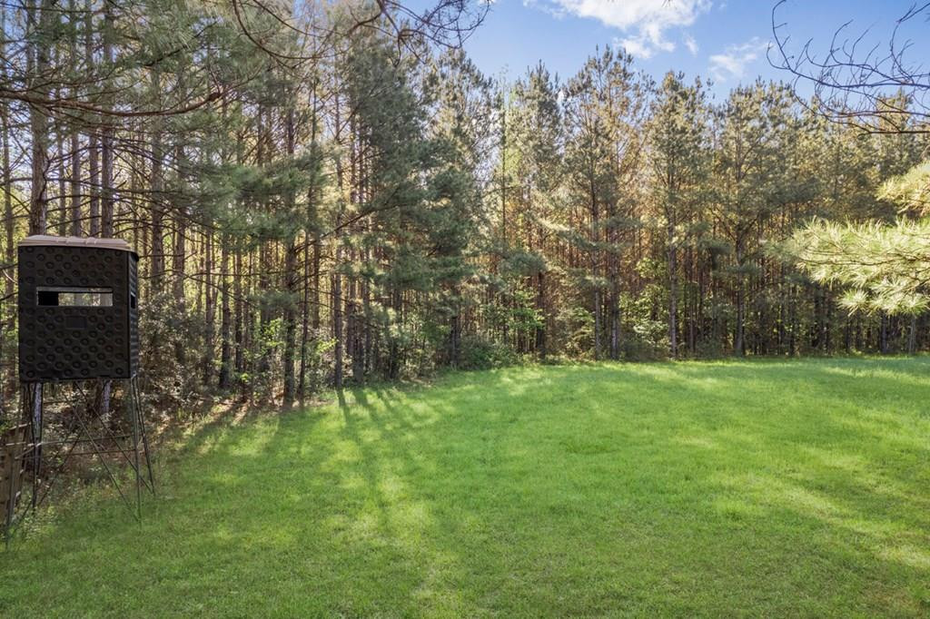 0 La Hwy 43 Property Photo 1