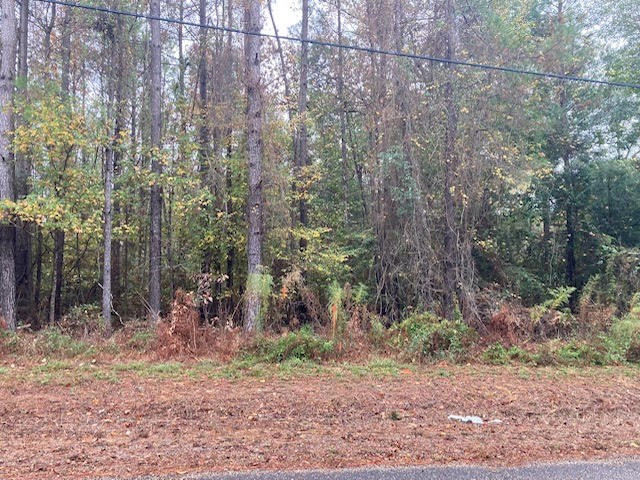 000 E Lewiston Road Property Photo 5