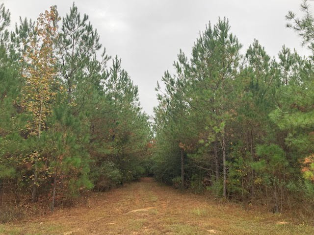 0 E Lewiston Property Photo 15