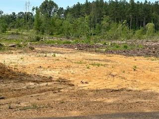 TBD Daughdrill Property Photo 1