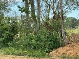 Tbd Daughdrill Property Photo 2