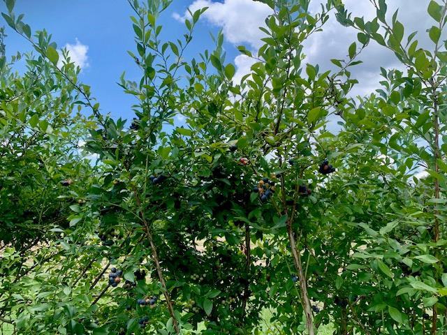 506 Quentin Road Se Property Photo 46