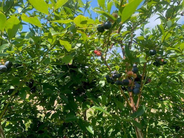 506 Quentin Road Se Property Photo 47