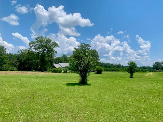 506 Quentin Road Se Property Photo 49