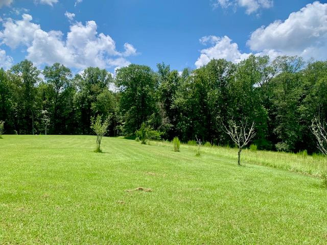 506 Quentin Road Se Property Photo 53