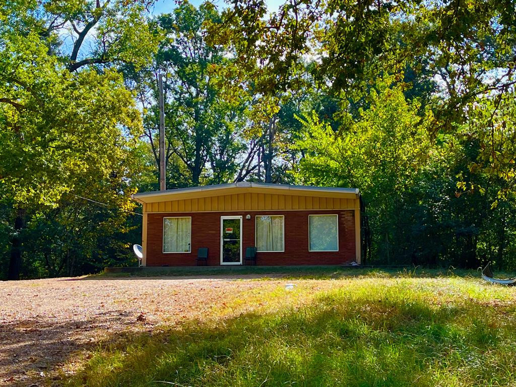 868 Hwy 51 N Property Photo 1
