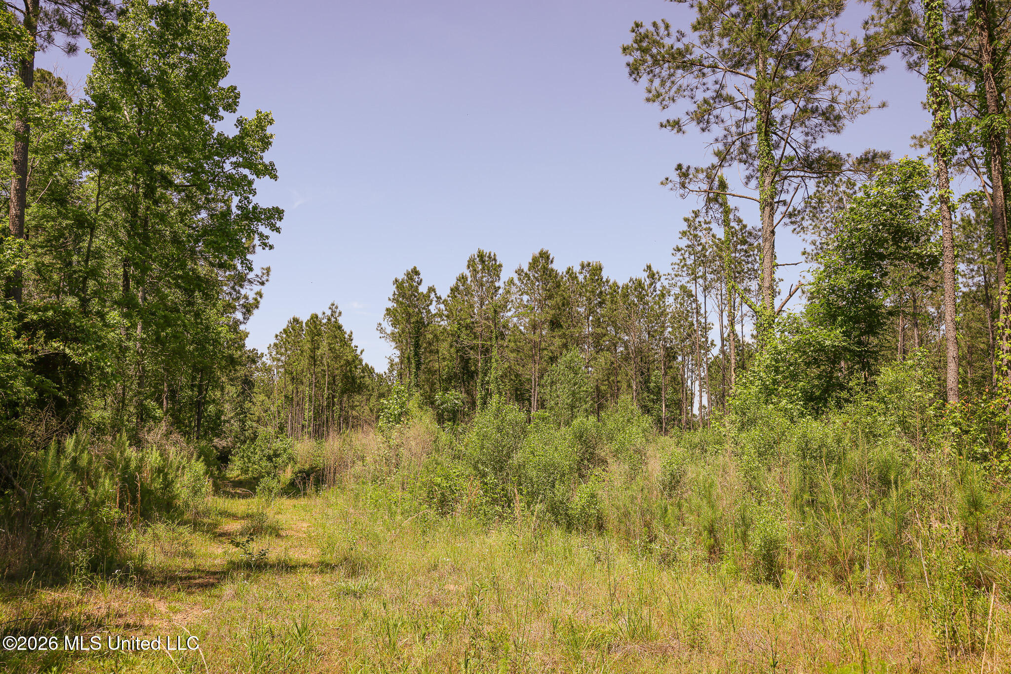 0 Graves Road Property Photo 10