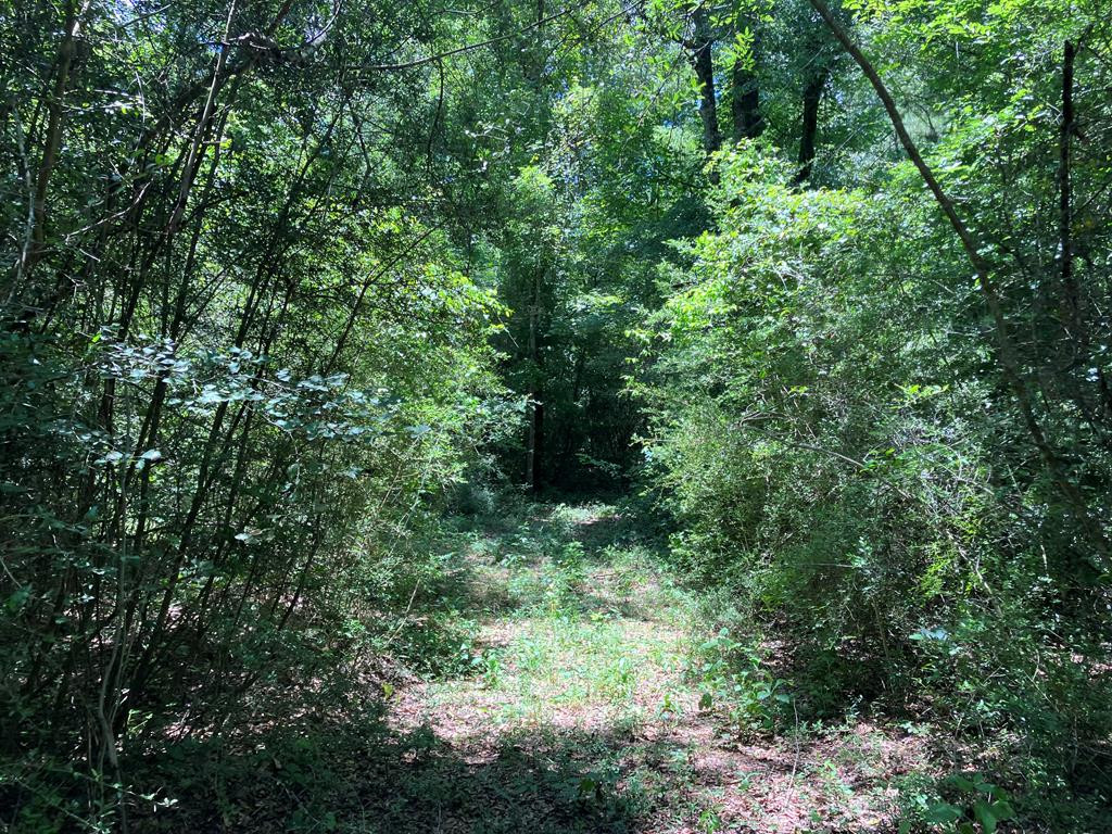 Hwy 48 Property Photo 1