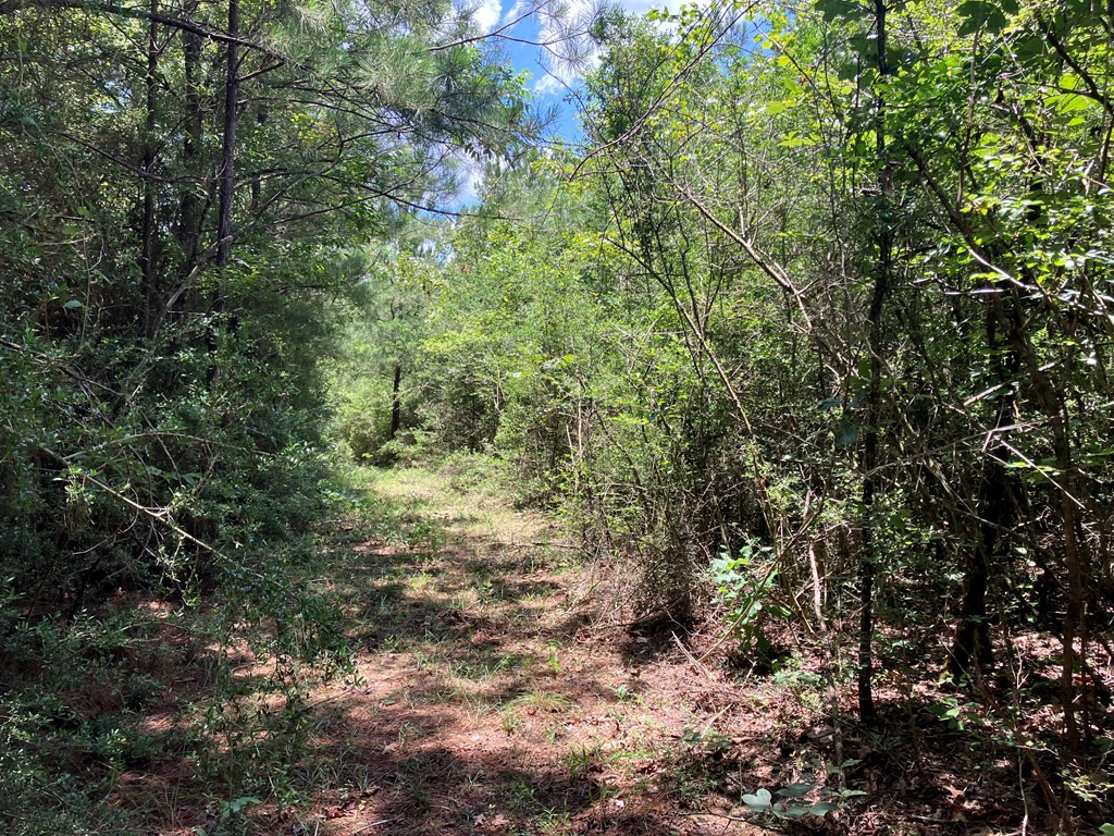 Hwy 48 Property Photo 2