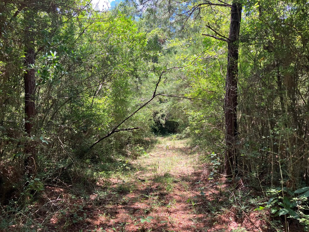 Hwy 48 Property Photo 3