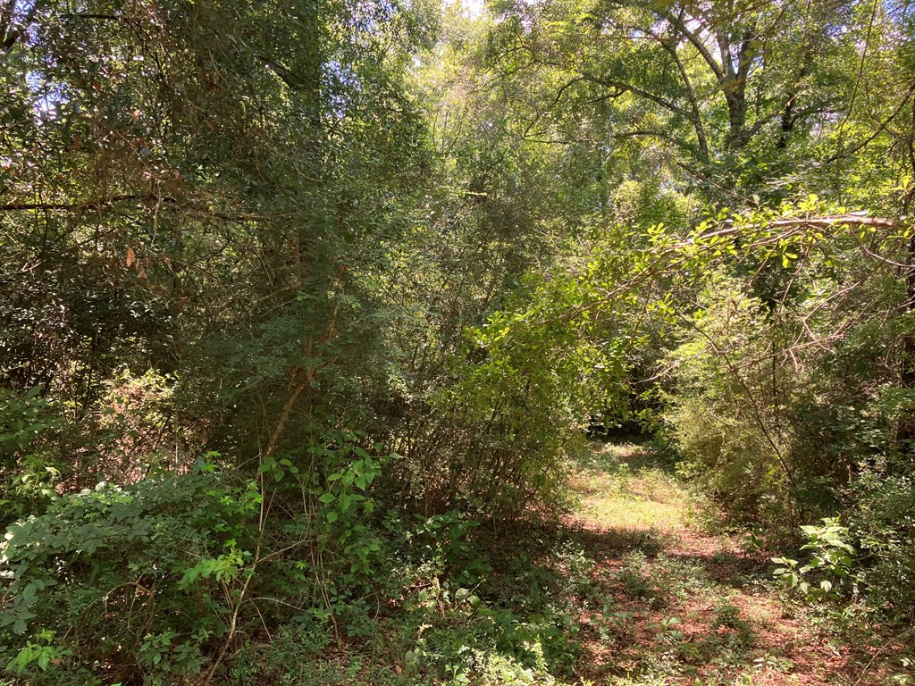 Hwy 48 Property Photo 4