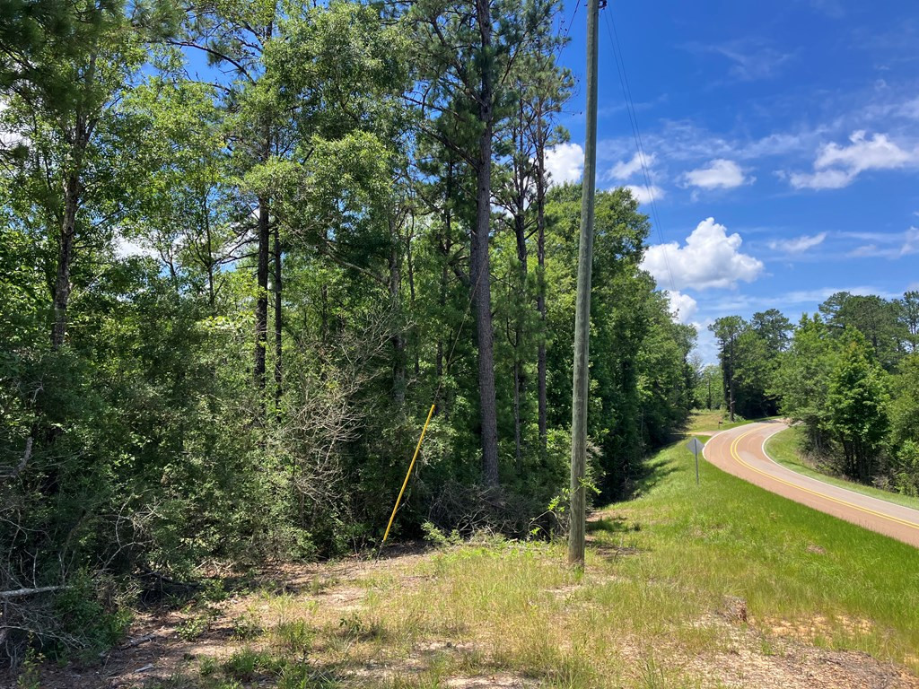 Hwy 48 Property Photo 10