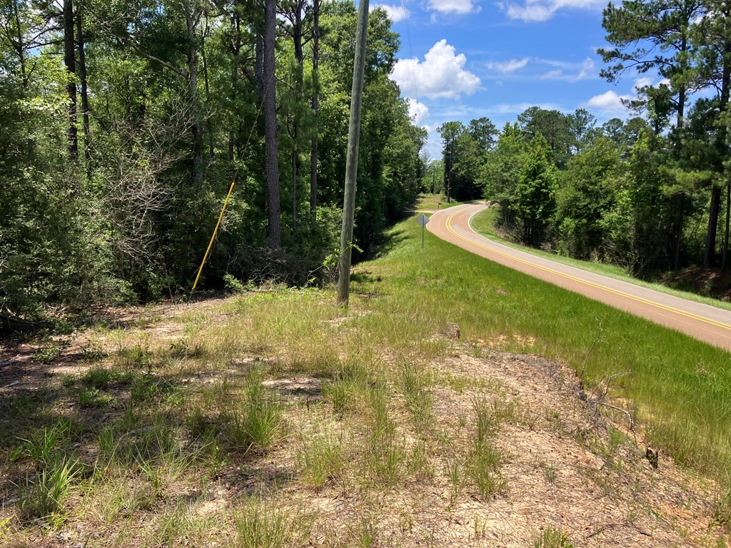 Hwy 48 Property Photo 11