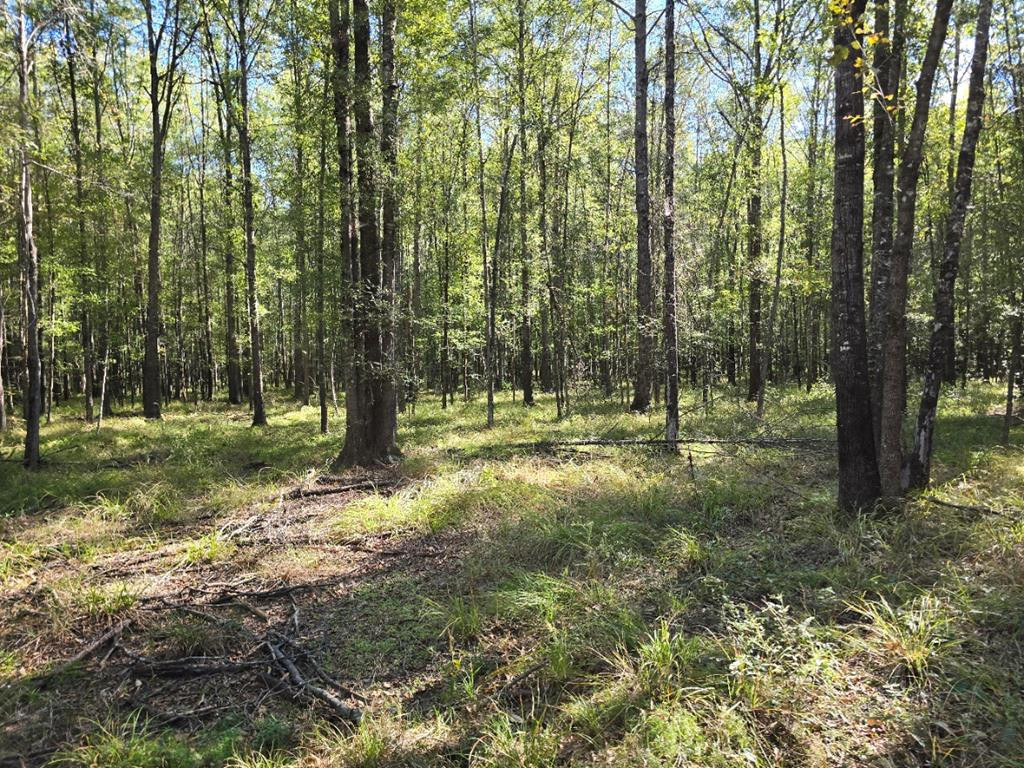000 Dogtown Lane Property Photo 1