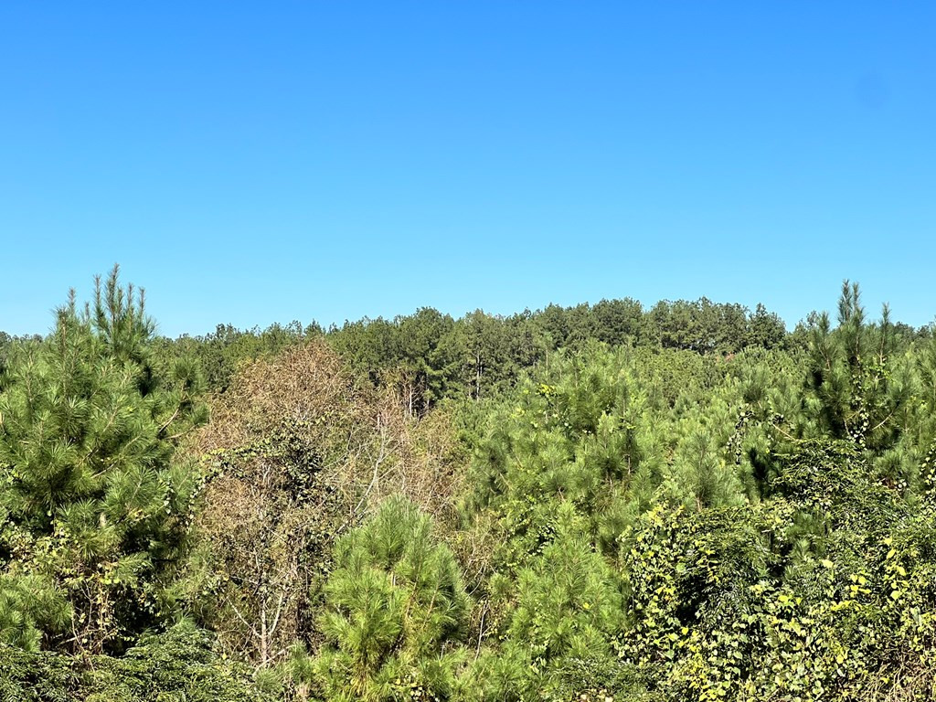 - Airport Lane Property Photo 7
