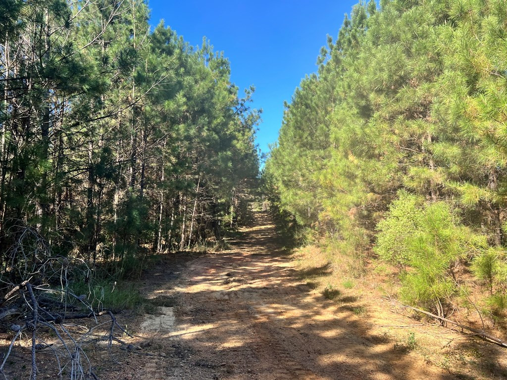 - Airport Lane Property Photo 13