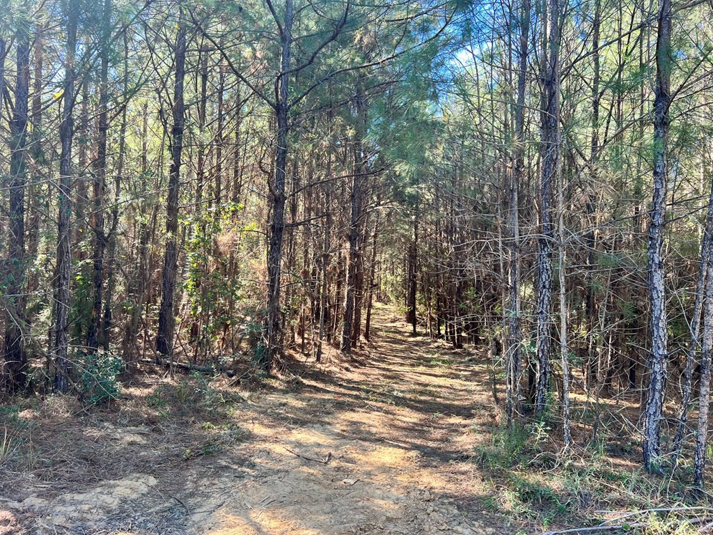 - Airport Lane Property Photo 14