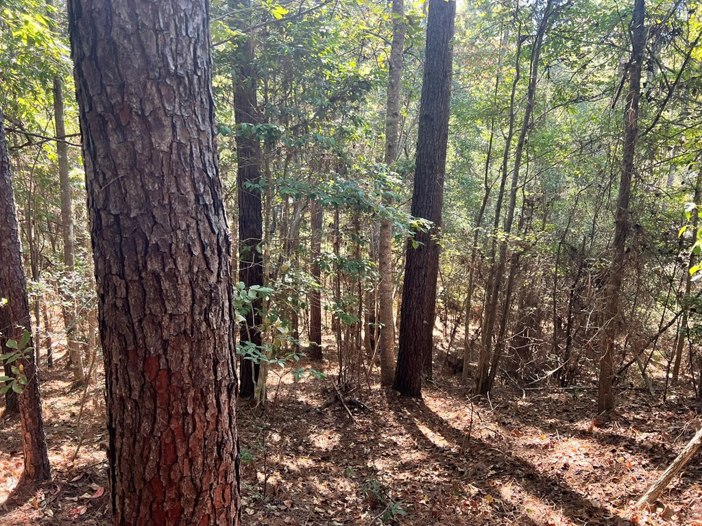 - Airport Lane Property Photo 17