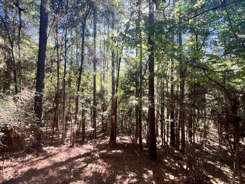 - Airport Lane Property Photo 18
