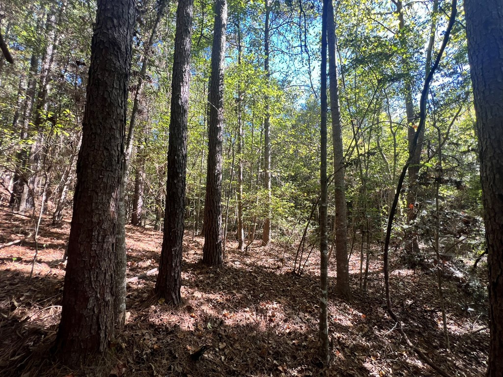 - Airport Lane Property Photo 19