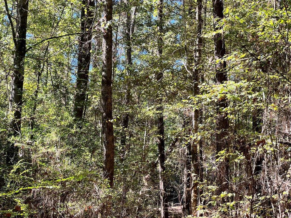 - Airport Lane Property Photo 20