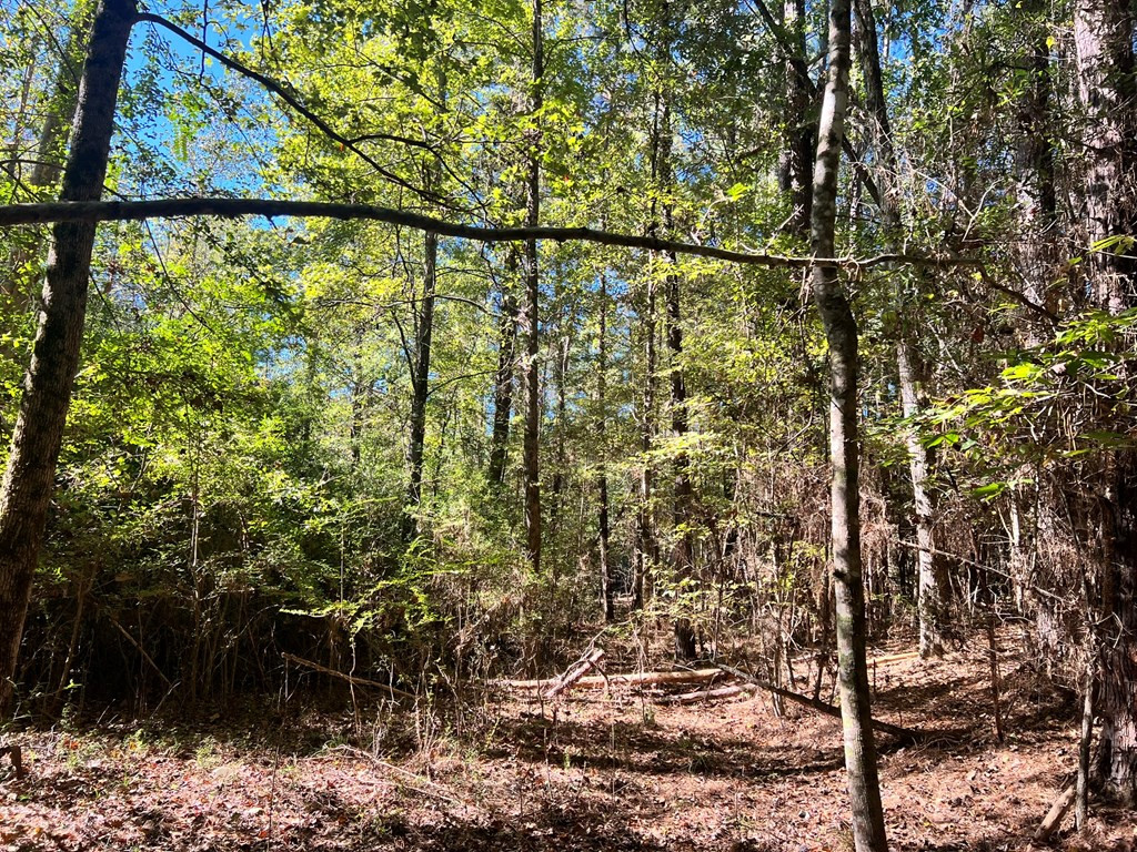 - Airport Lane Property Photo 21