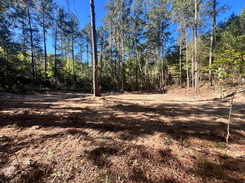 - Airport Lane Property Photo 24