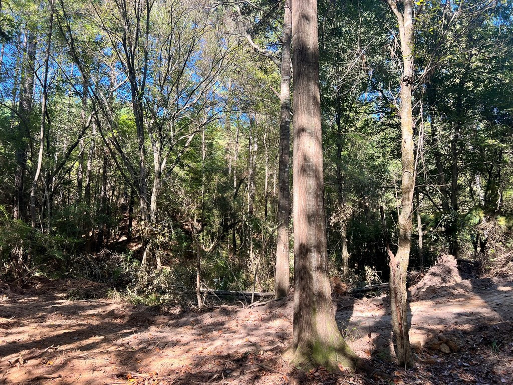 - Airport Lane Property Photo 29