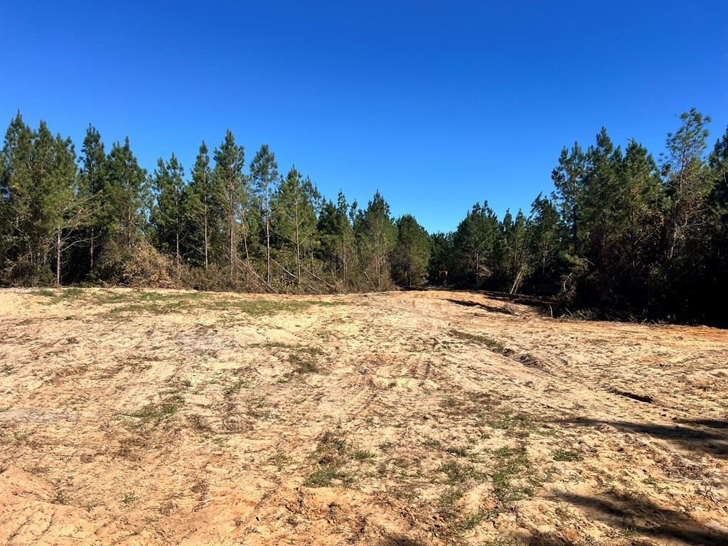 - Airport Lane Property Photo 33