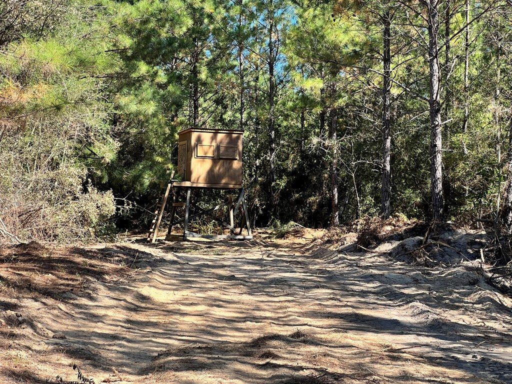 - Airport Lane Property Photo 34