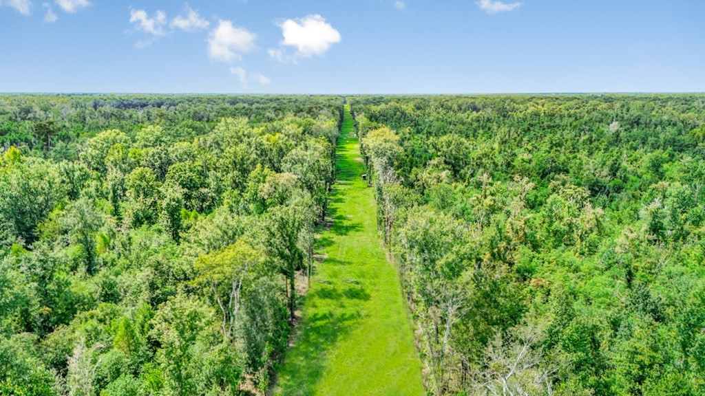 0 Jack Torres Road Property Photo 3