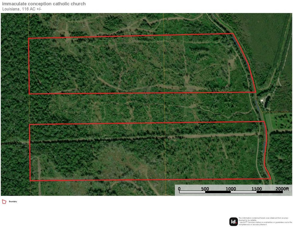0 Jack Torres Road Property Photo 11