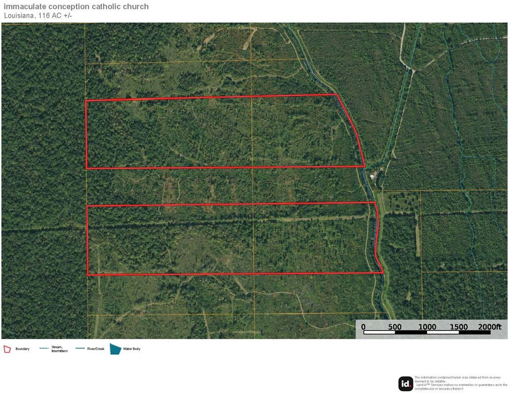 0 Jack Torres Road Property Photo 12