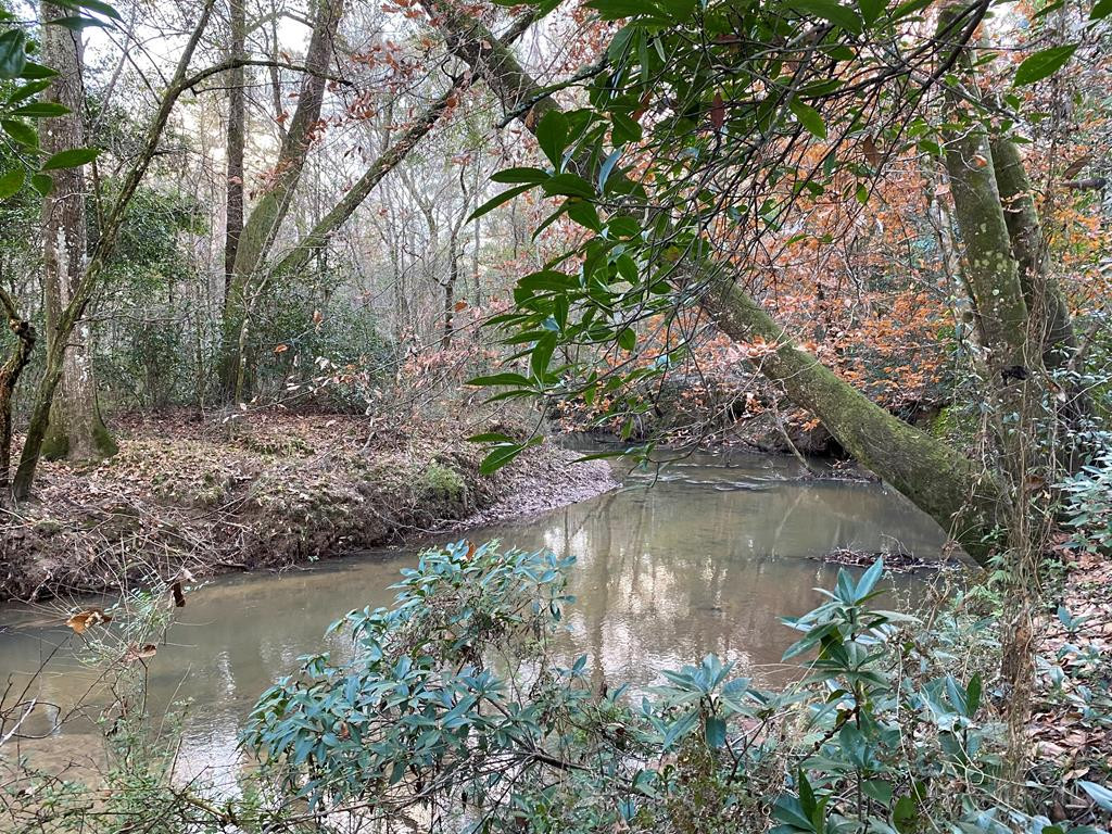 Tbd Ms-568 Property Photo 1