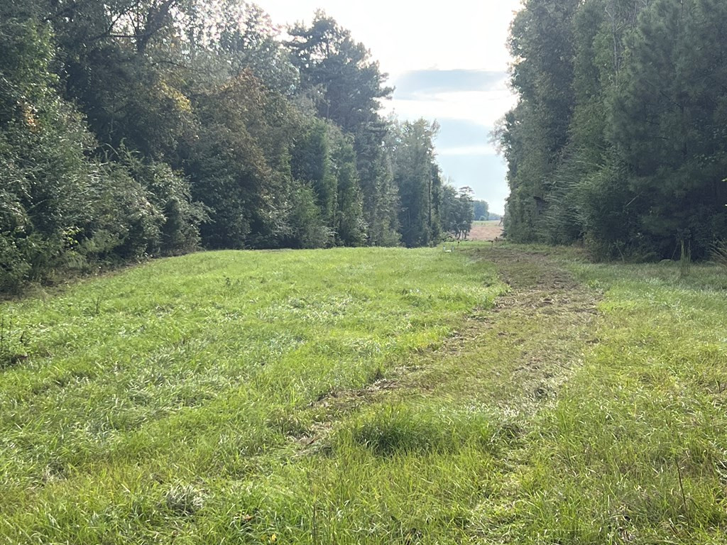 Tbd Ms-568 Property Photo 4