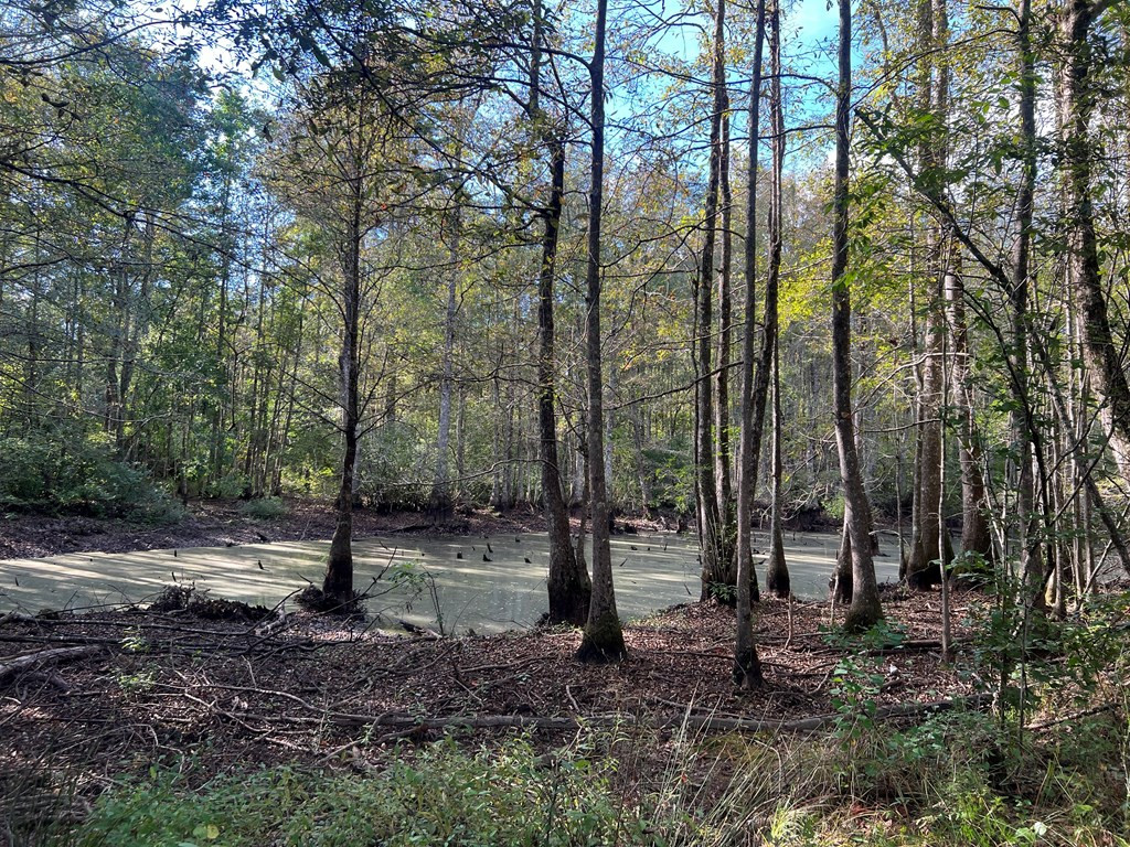 Tbd Ms-568 Property Photo 7