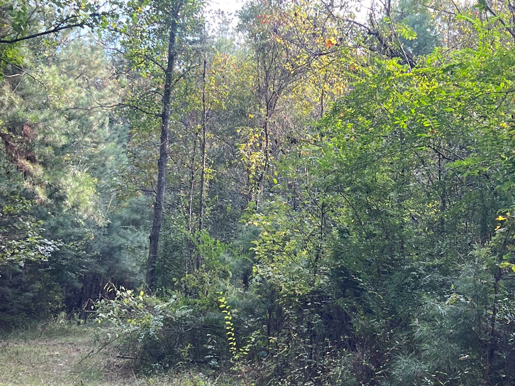 Tbd Ms-568 Property Photo 10