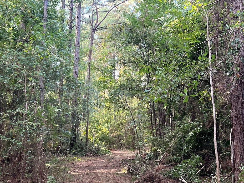 Tbd Ms-568 Property Photo 11