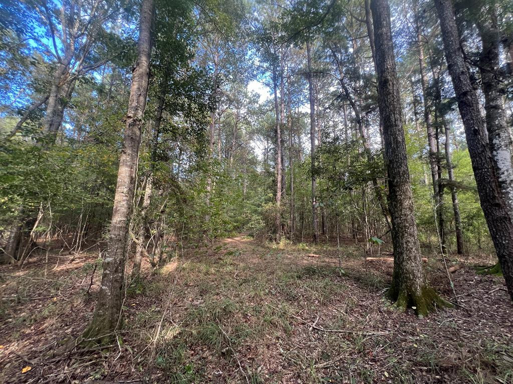 Tbd Ms-568 Property Photo 15