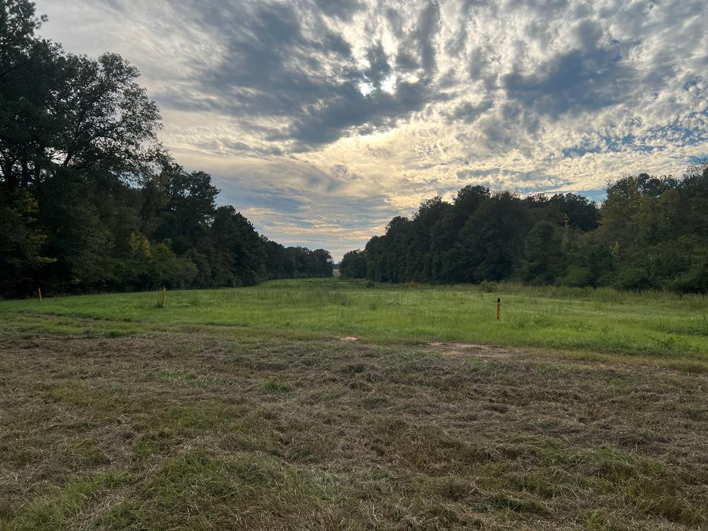 Tbd Ms-568 Property Photo 16