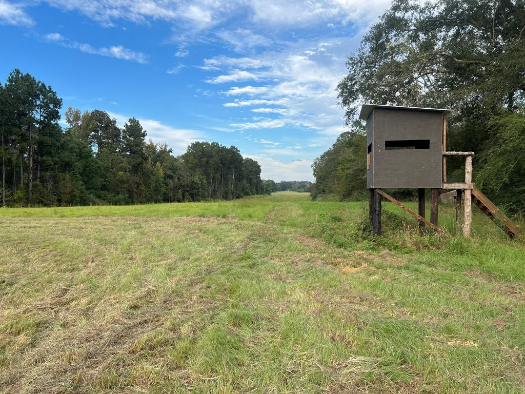 Tbd Ms-568 Property Photo 17