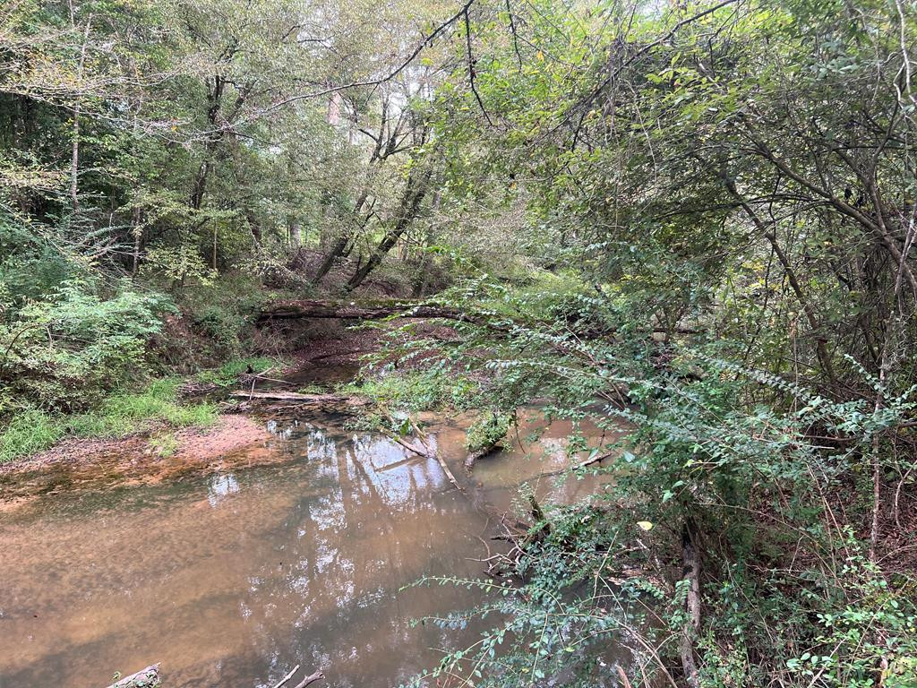 Tbd Ms-568 Property Photo 19