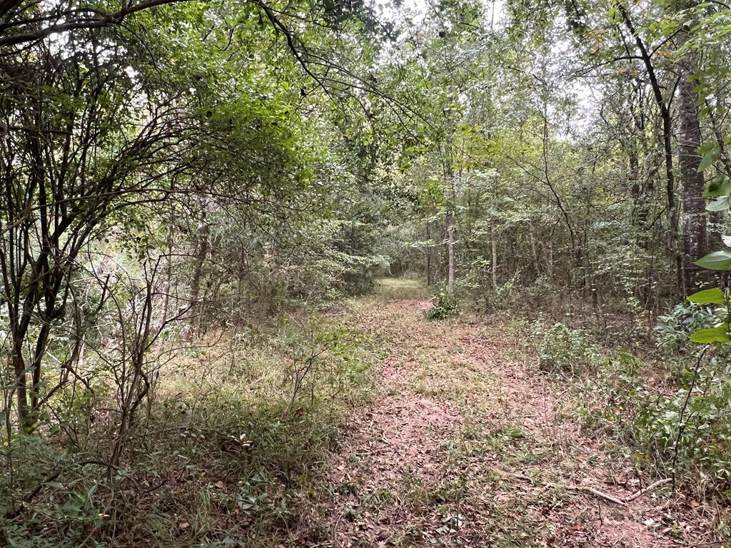 Tbd Ms-568 Property Photo 20
